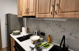 Apartament 2 camere semidecomandat, etaj 1 , zona Curtea de Apel 