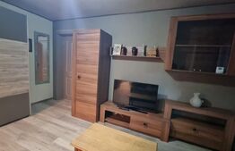 Apartament 2 camere semidecomandat, etaj 1 , zona Curtea de Apel 