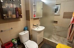 Apartament 2 camere, parter, zona Rovine- Scoala Nr. 39