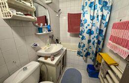 Apartament de 3 camere, parter, zona Gradina Botanica