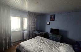 Apartament 3 camere decomandat, 66 mp - Lapus Arges, zona Sucpi