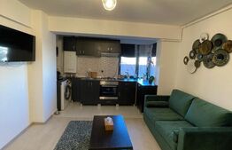 Apartament cu 2 camere, bloc nou, Calea Severinului