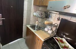 Camera de camin tip garsoniera in Valea Rosie, etaj 2/4