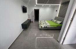 Garsoniera Proaspat renovata Brazda lui Novac