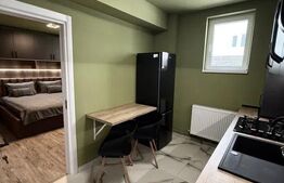 Garsoniera decomandata, 35 mp, zona Agronomie