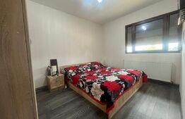 Casa 100 mpu, zona Malu Mare cu 1000 mp teren 