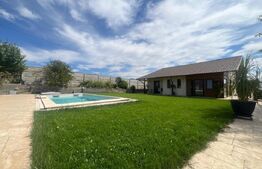 Casa 100 mpu, zona Malu Mare cu 1000 mp teren 