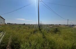 Teren 2000 mp comercial/industrial Calea Bucuresti, zona estica