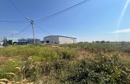 Teren 2000 mp comercial/industrial Calea Bucuresti, zona estica