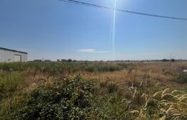 Teren 2000 mp comercial/industrial Calea Bucuresti, zona estica