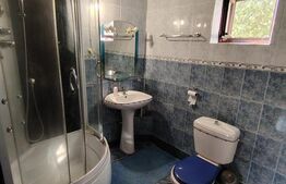 Casa P+1+M, 5 camere, Rovine
