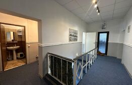 Spatiu comercial situat pe 2 niveluri, zona Dezrobirii