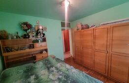 Apartament 2 camere decomandate, Lapus zona Scoala Mihai Eminescu