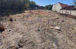 Oportunitate investitie constructie spatiu comercial, teren 825 m, zona Lapus  