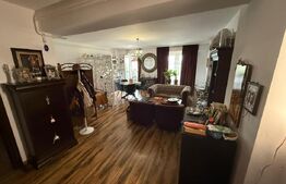 Garsoniera open space, Brazda zona Consul