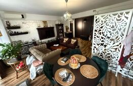 Garsoniera open space, Brazda zona Consul