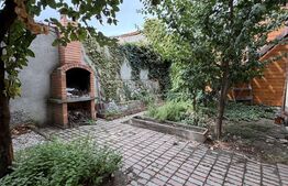 Casa cu curte si garaj, 2 dormitoare, mobilata utilata, Brestei