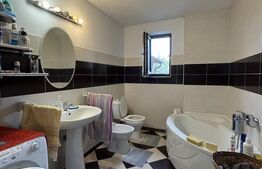 Casa cu curte si garaj, 2 dormitoare, mobilata utilata, Brestei