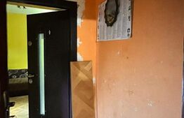 Garsoniera p\3, zona Brazda lui Novac, Pedagogic