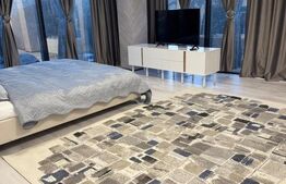 APARTAMENT 2 CAMERE DECOMANDAT ZONA GARII