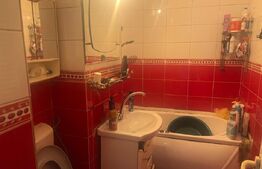 Apartament 2 camere PARTER-stradal,  55 mp, cv9