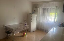 Apartament 2 camere PARTER-stradal,  55 mp, cv9