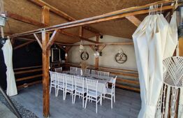 Casa la strada in Lipovu, renovata recent, 850 mp curte