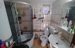 Casa la strada in Lipovu, renovata recent, 850 mp curte