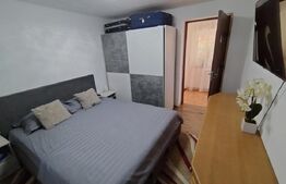 Casa la strada in Lipovu, renovata recent, 850 mp curte