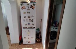 Casa la strada in Lipovu, renovata recent, 850 mp curte