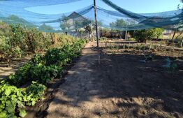 Casa la strada in Lipovu, renovata recent, 850 mp curte