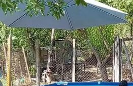 Casa de vanzare, teren 3.242 mp, toate utilitatile, Cotofenii din Fata