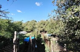 Casa de vanzare, teren 3.242 mp, toate utilitatile, Cotofenii din Fata