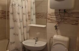 Garsoniera la etajul 2, centrala termica, AC, zona Ciuperca