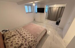 Apartament 3 camere decomandat, Pretabil spatiu comercial, 110 mp, zona centrala