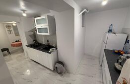 Apartament 3 camere decomandate, 110 mp, zona parculetului Sf. Dumitru