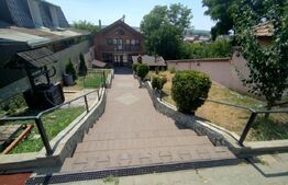 Casa P+M, 418 mp curte, 150mp util, parc Romanescu  Extensiv