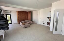 Proprietate deosebita, zona Calea Bucuresti/Banu Maracine