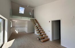 Proprietate deosebita, zona Calea Bucuresti/Banu Maracine