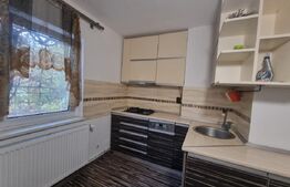 Apartament cu 3 camere, centrala termica si AC, cartier Brazda lui Novac