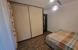 Apartament cu 3 camere, centrala termica si AC, cartier Brazda lui Novac