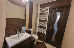 Apartament cu 3 camere, centrala termica si AC, cartier Brazda lui Novac