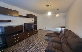 Apartament cu 3 camere, centrala termica si AC, cartier Brazda lui Novac