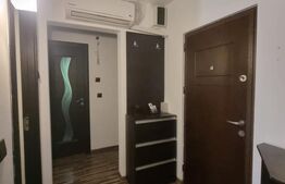 Apartament cu 3 camere, centrala termica si AC, cartier Brazda lui Novac