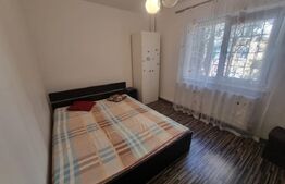 Apartament cu 3 camere, centrala termica si AC, cartier Brazda lui Novac