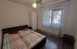 Apartament cu 3 camere, centrala termica si AC, cartier Brazda lui Novac
