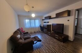 Apartament cu 3 camere, centrala termica si AC, cartier Brazda lui Novac