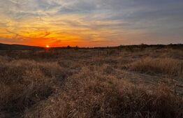 Teren extravilan 5000 , 2,5 euro mp BREASTA