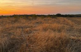 Teren extravilan 5000 , 2,5 euro mp BREASTA