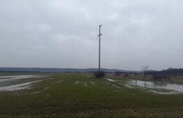 Teren extravilan 5000 , 2,5 euro mp BREASTA